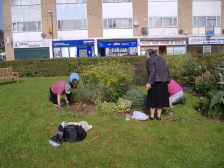 BBG Planting